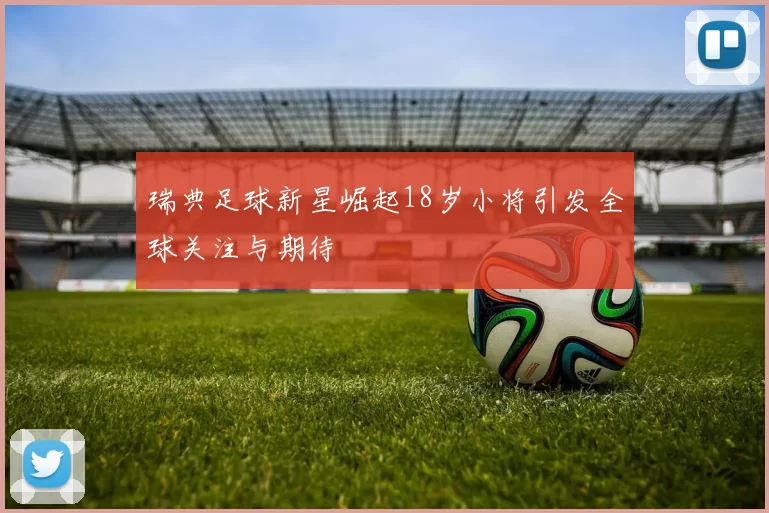 瑞典足球新星崛起18岁小将引发全球关注与期待