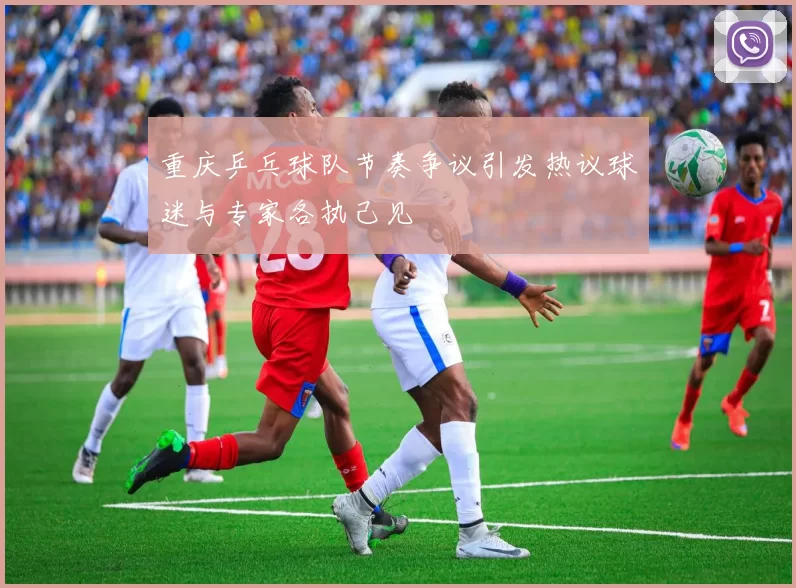 重庆乒乓球队节奏争议引发热议球迷与专家各执己见